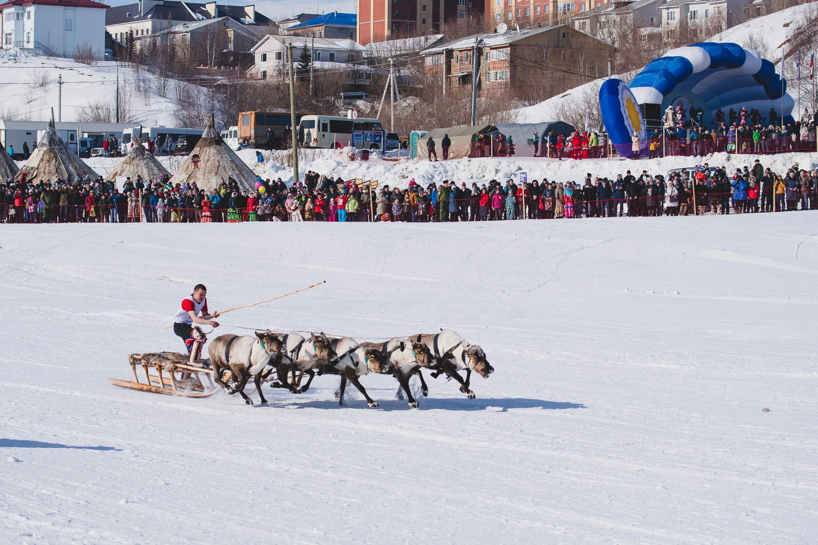 _DSC0504 (1)