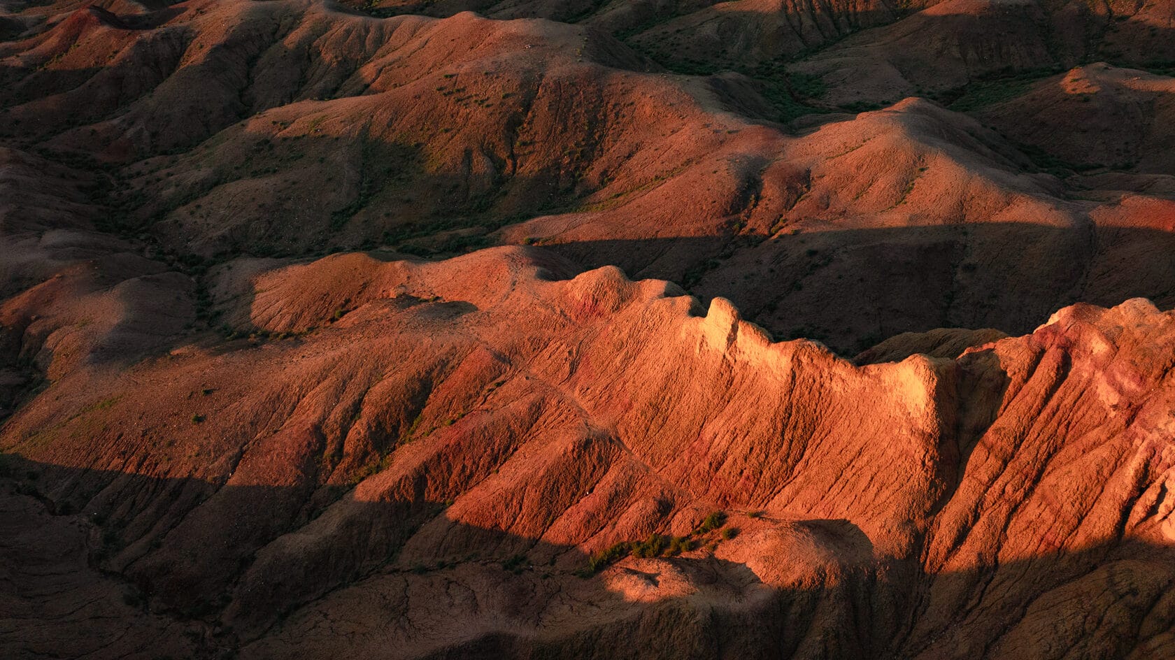 Mongolia (1)