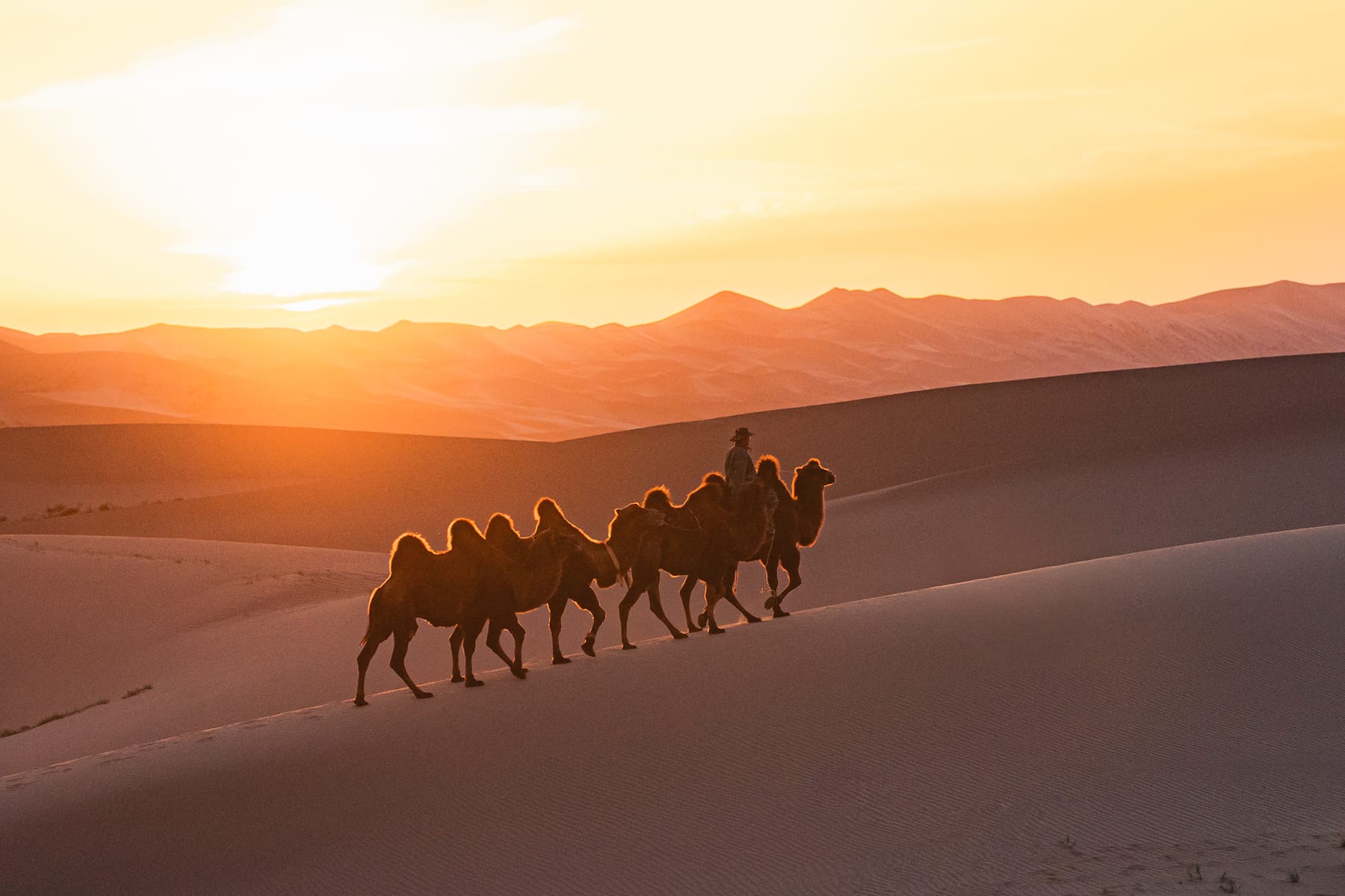 Mongolia (13)
