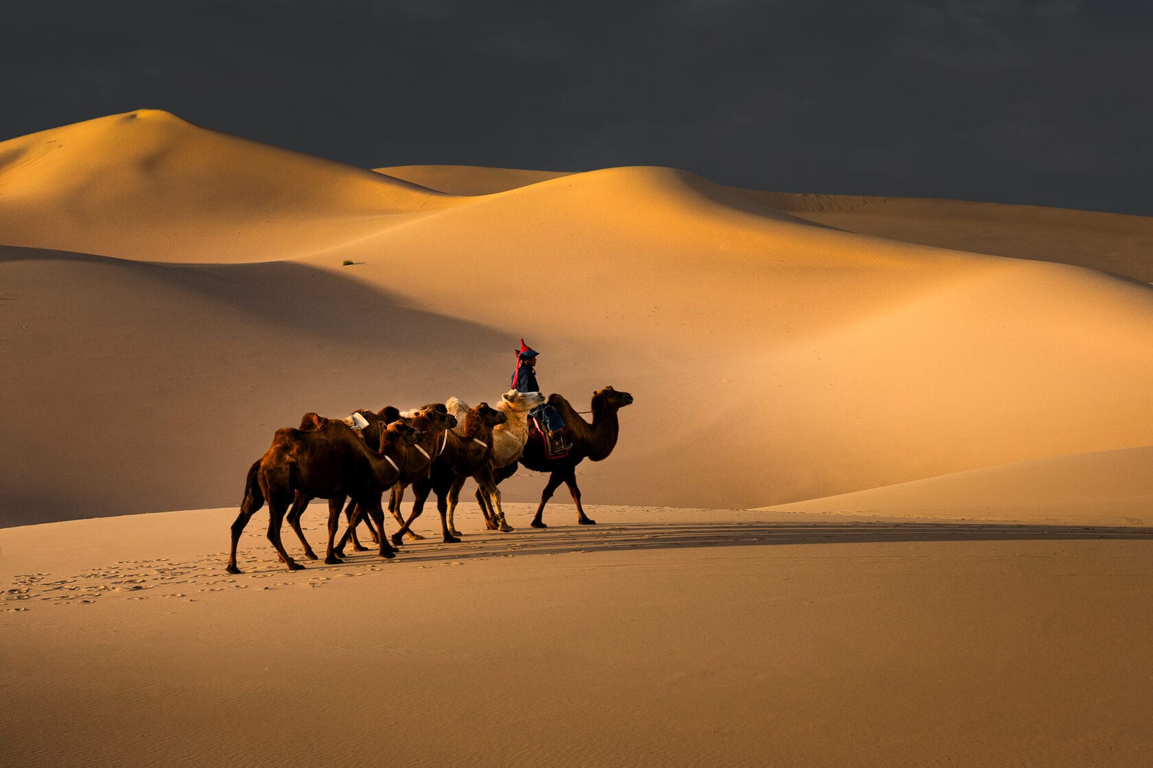 Mongolia (4)