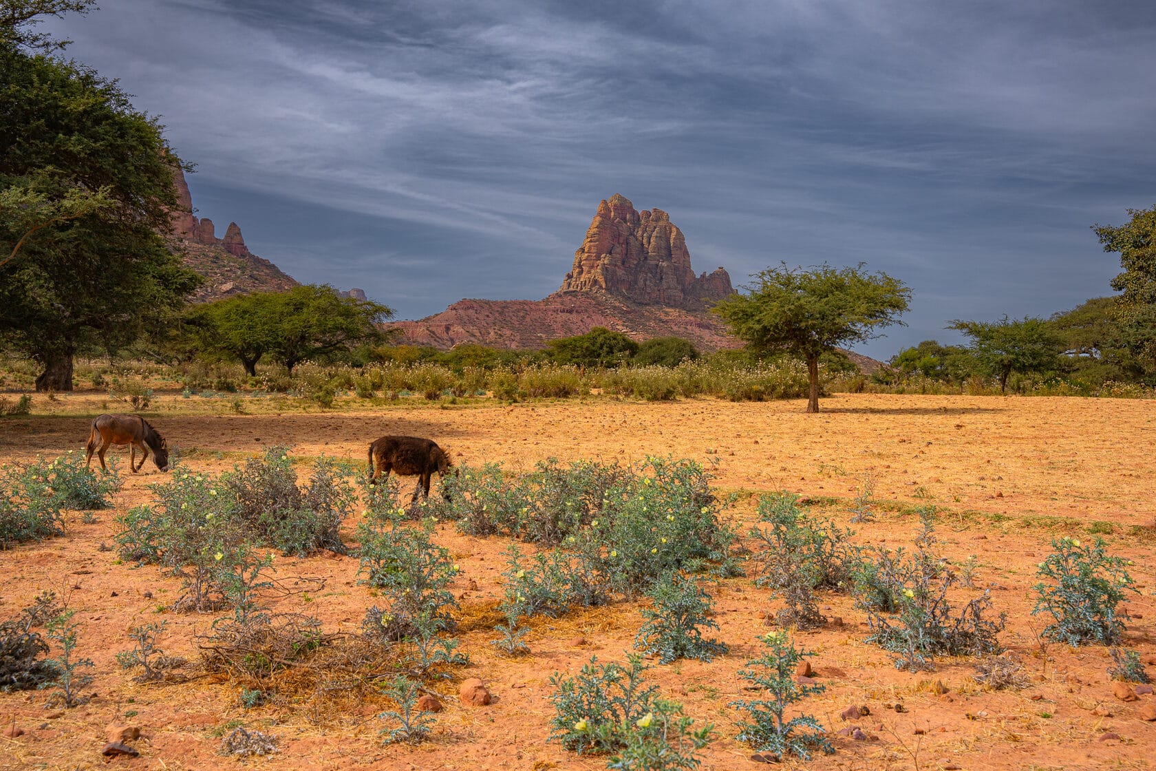 etiopia7