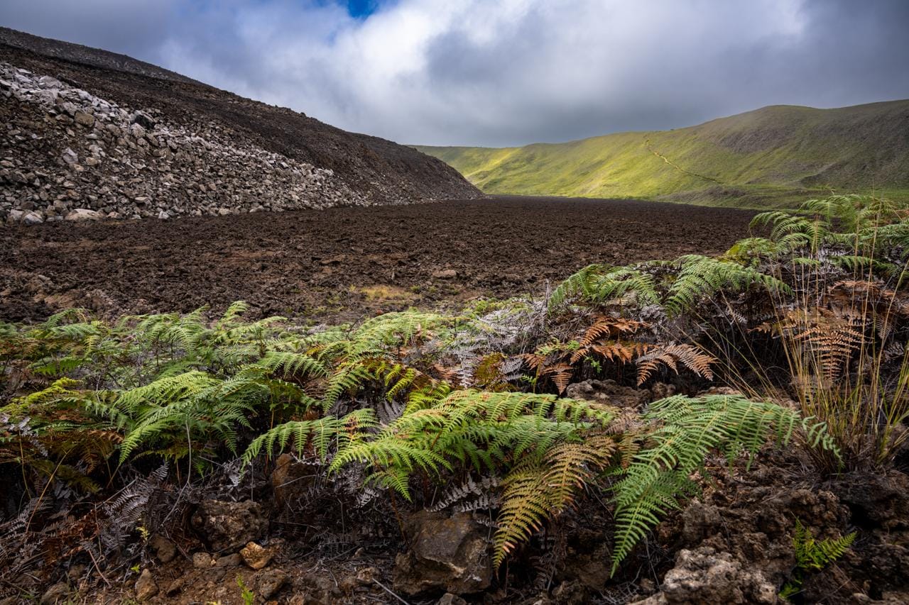 Galapagos (4)